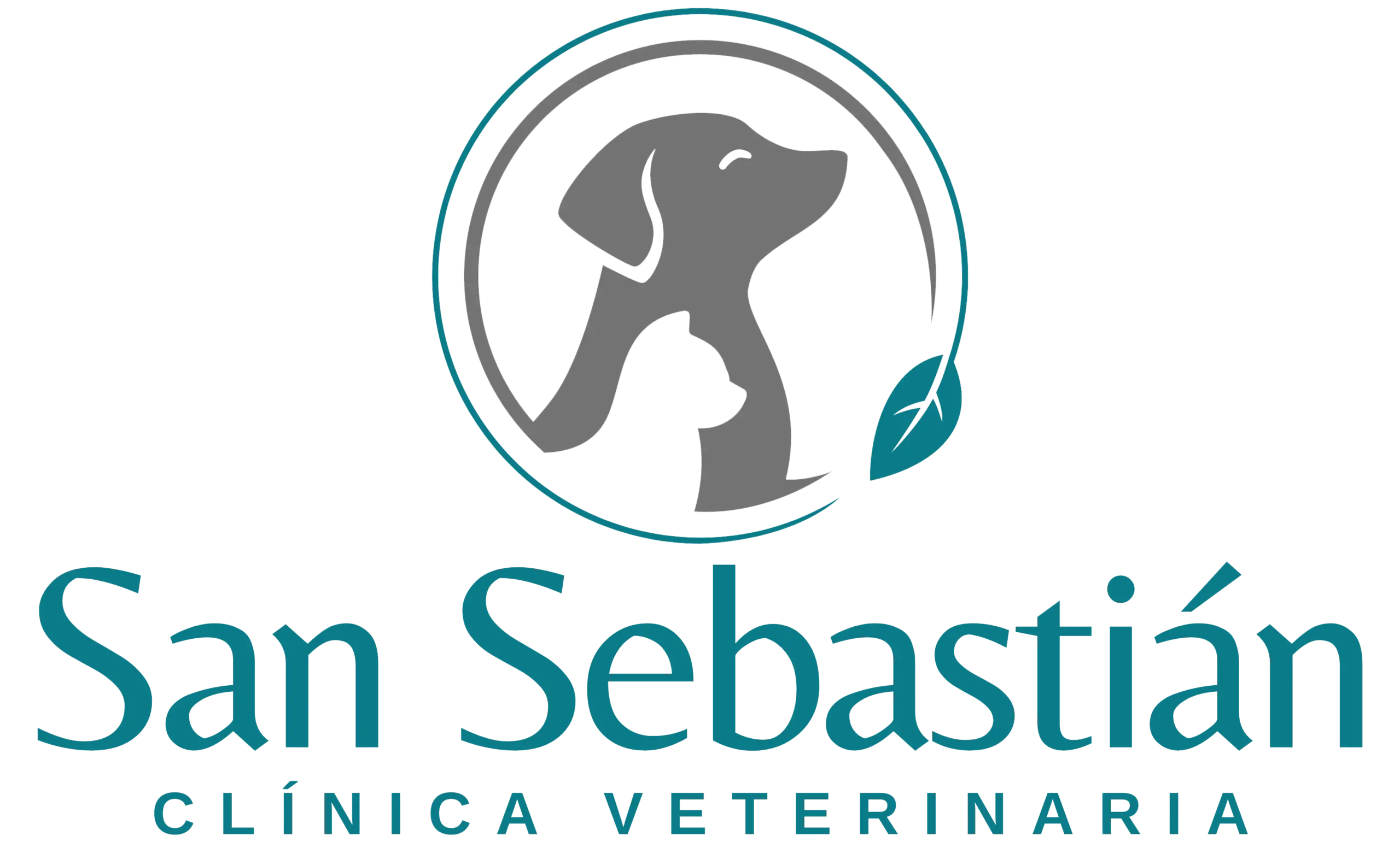 San Sebastian Clinica Veterinaria